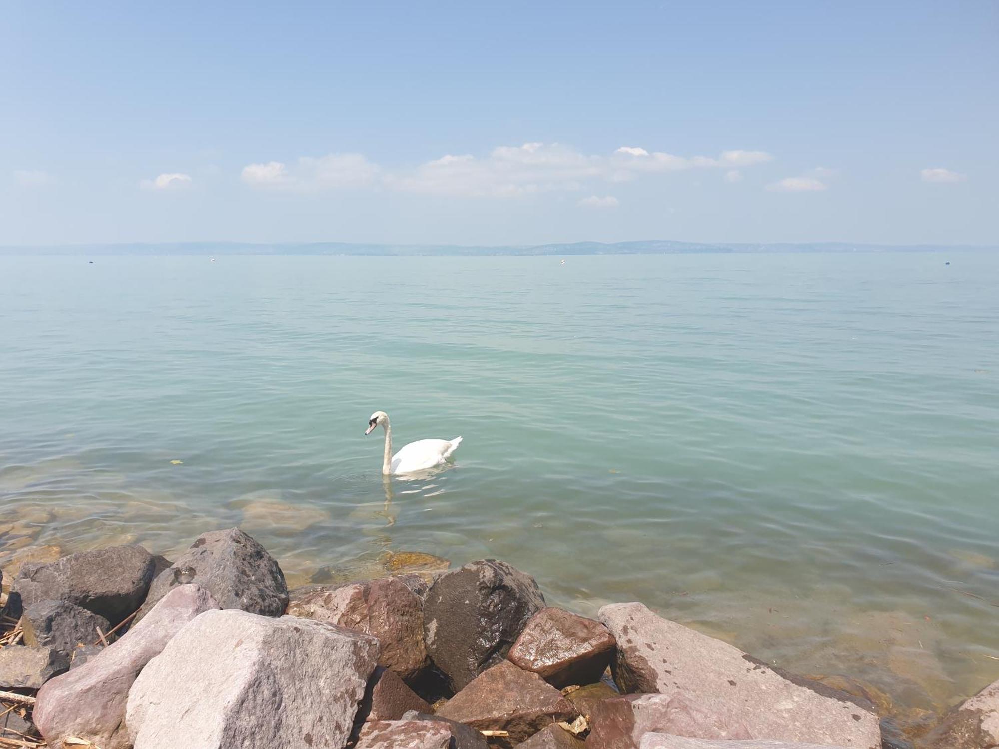Balaton Lakeside Residence Siófok Kültér fotó